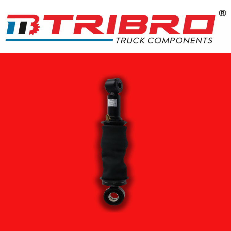 AIR SPRING AND SHOCK ABSORBER PRODUCTS